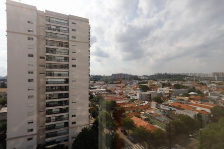 Apartamento à venda com 157m², 3 quartos e 3 vagasVista