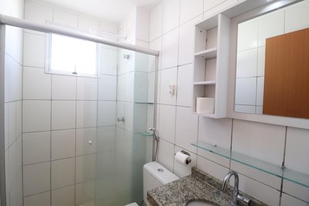 Banheiro Social de apartamento para alugar com 2 quartos, 45m² em Patrimônio, Uberlândia
