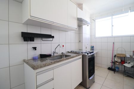 Cozinha de apartamento para alugar com 2 quartos, 45m² em Patrimônio, Uberlândia