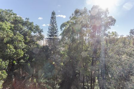 Vista da Suíte no 2° Pavimento de casa à venda com 4 quartos, 375m² em São Lucas, Belo Horizonte