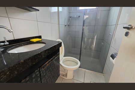 Banheiro social de apartamento para alugar com 2 quartos, 50m² em Bernardo de Souzaa, Vespasiano
