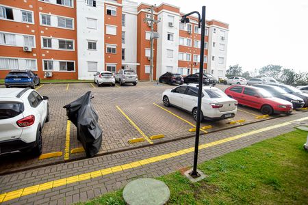 Vista da Cozinha de apartamento para alugar com 2 quartos, 54m² em Santa Isabel, Viamão