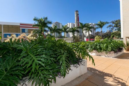 Apartamento para alugar com 78m², 3 quartos e 2 vagas Apartamento para alugar com 78m², 3 quartos e 2 vagasÁREA VERDE