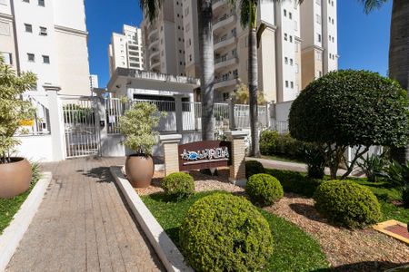 FACHADA DO PRÉDIO de apartamento para alugar com 3 quartos, 78m² em Parque das Flores, Campinas