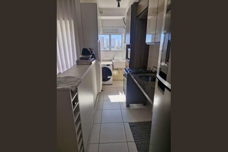Cozinha de apartamento para alugar com 1 quarto, 41m² em Umuarama, Osasco