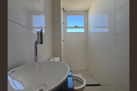 Banheiro Social de apartamento para alugar com 2 quartos, 50m² em Tijuca, Belo Horizonte