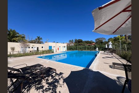 Área comum - Piscina de apartamento para alugar com 2 quartos, 50m² em Tijuca, Belo Horizonte