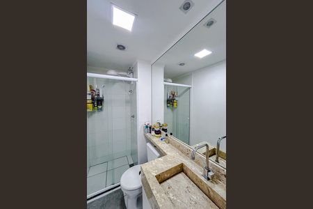 Banheiro de apartamento para alugar com 2 quartos, 33m² em Cidade Mãe do Céu, São Paulo