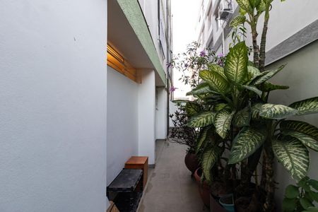 Área comum de apartamento para alugar com 2 quartos, 74m² em Água Branca, São Paulo