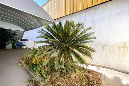 Jardim de casa para alugar com 4 quartos, 380m² em Coração Eucarístico, Belo Horizonte