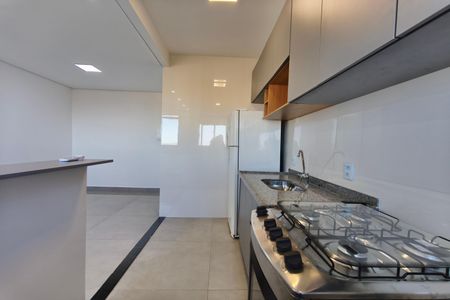 Apartamento para alugar com 44m², 2 quartos e 1 vagaCozinha