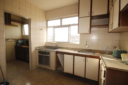 Apartamento para alugar com 170m², 5 quartos e 2 vagascozinha
