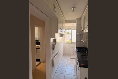 Cozinha de apartamento para alugar com 1 quarto, 56m² em Vila Príncipe de Gales, Santo André
