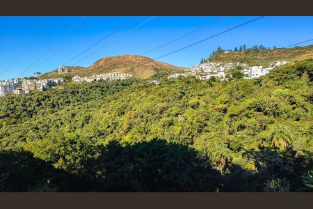 Vista da varanda de apartamento à venda com 3 quartos, 107m² em Buritis, Belo Horizonte