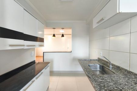 Cozinha de apartamento para alugar com 2 quartos, 48m² em Recanto Fortuna, Campinas