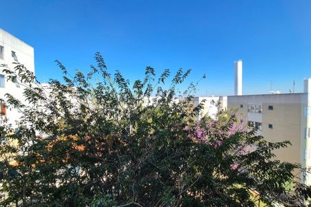 Vista da Área de serviço  de apartamento à venda com 2 quartos, 44m² em Residencial Cosmos, Campinas