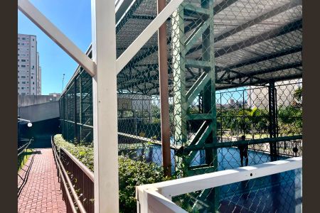 Área comum - Quadra de apartamento para alugar com 2 quartos, 43m² em Fundacao da Casa Popular, Campinas