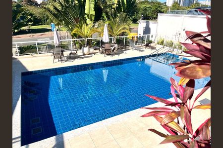 Área comum - Piscina de apartamento para alugar com 2 quartos, 43m² em Fundacao da Casa Popular, Campinas