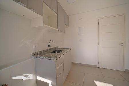 Cozinha de apartamento para alugar com 2 quartos, 45m² em Vila Guilhermina, São Paulo