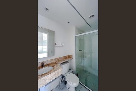 Banheiro da Suíte de apartamento para alugar com 2 quartos, 51m² em Chácara Santo Antônio (zona Leste), São Paulo