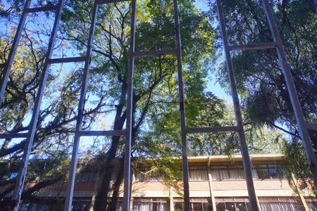 Apartamento para alugar com 70m², 2 quartos e sem vaga Apartamento para alugar com 70m², 2 quartos e sem vagaSala _Vista