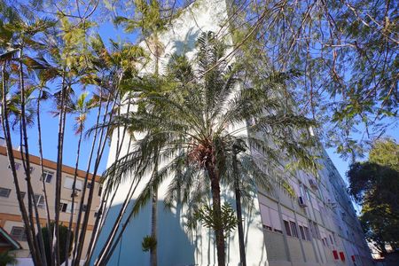 Apartamento para alugar com 70m², 2 quartos e sem vaga Apartamento para alugar com 70m², 2 quartos e sem vagaÁrea comum