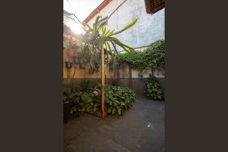 Quintal de casa à venda com 3 quartos, 300m² em Vila Pérola, Belo Horizonte