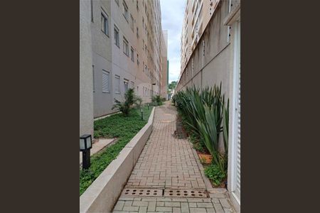 Apartamento à venda com 2 quartos, 34m² em Vila Palmeiras, São Paulo
