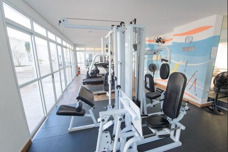 Apartamento para alugar com 297m², 3 quartos e 3 vagas Apartamento para alugar com 297m², 3 quartos e 3 vagasÁrea comum - Academia