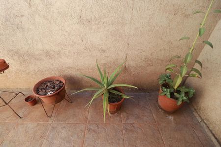 Varanda  de casa para alugar com 2 quartos, 140m² em Centro, Ribeirão Preto
