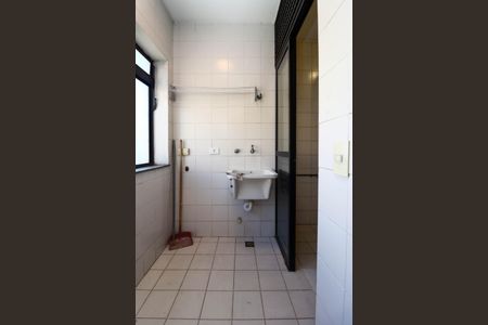 Área de Serviço de apartamento para alugar com 2 quartos, 70m² em Vila Suzana, São Paulo