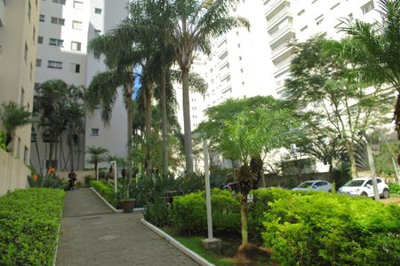 Apartamento para alugar com 68m², 3 quartos e 1 vagaÁrea comum 