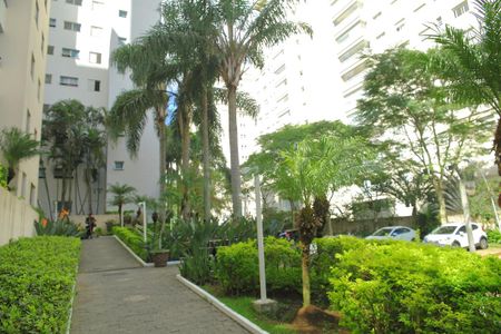 Apartamento para alugar com 68m², 3 quartos e 1 vagaÁrea comum 