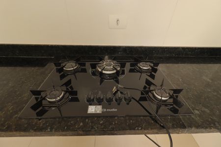 Cozinha - Cooktop de apartamento para alugar com 2 quartos, 68m² em Vila Curuçá, Santo André