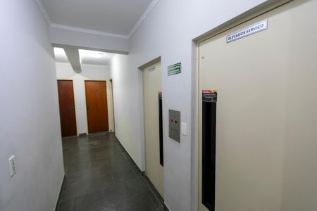 HALL DOS ELEVADORES de apartamento para alugar com 1 quarto, 50m² em Cambuí, Campinas