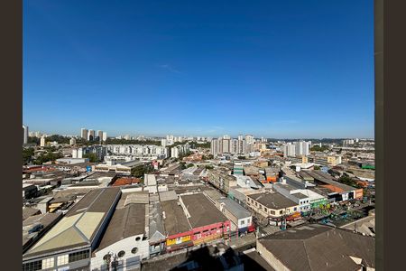 Apartamento para alugar com 114m², 3 quartos e 1 vaga Apartamento para alugar com 114m², 3 quartos e 1 vagaVista
