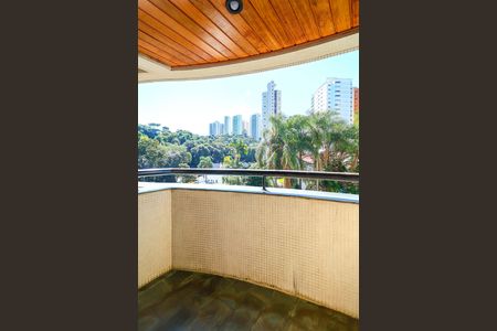 Kitnet/Studio para alugar com 1 quarto, 38m² em Vila Suzana, São Paulo