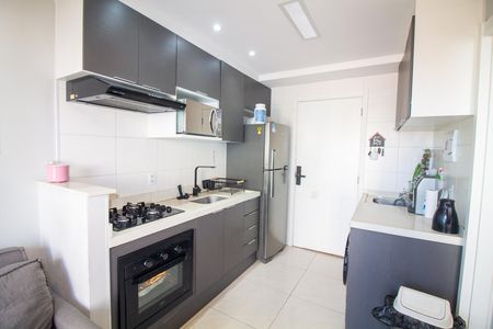 Cozinha de apartamento para alugar com 1 quarto, 29m² em Vila das Belezas, São Paulo