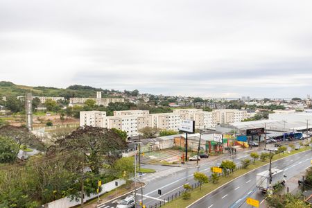 Vista da Suíte de apartamento para alugar com 3 quartos, 54m² em Cavalhada, Porto Alegre