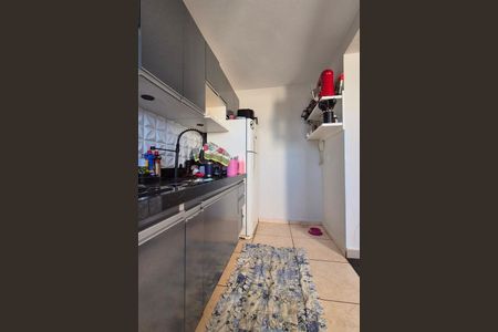 Cozinha  de apartamento para alugar com 2 quartos, 44m² em Jardim Anton Von Zuben, Campinas