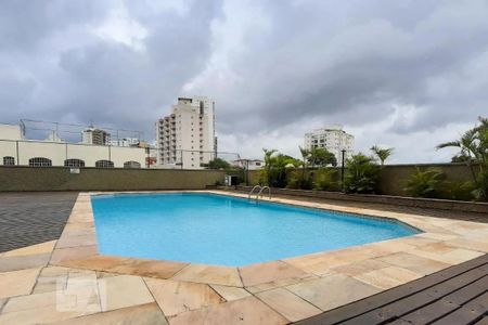 Área comum - Piscina de apartamento para alugar com 3 quartos, 76m² em Parque Mandaqui, São Paulo