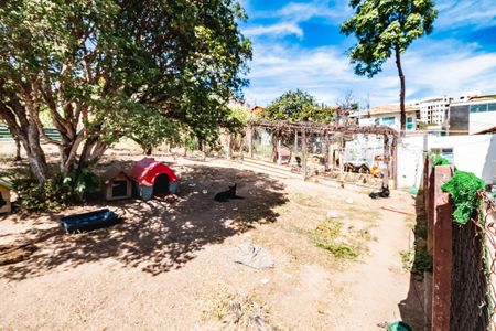 Casa à venda com 1 quarto, 18000m² em Santa Amelia, Belo Horizonte