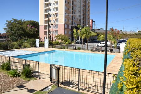 Área comum - Piscina de apartamento para alugar com 2 quartos, 50m² em Vila Nambi, Jundiaí