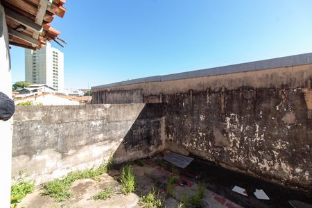 ÁREA EXTERNA FUNDOS EDICULA de casa à venda com 2 quartos, 400m² em Jardim Chapadão, Campinas