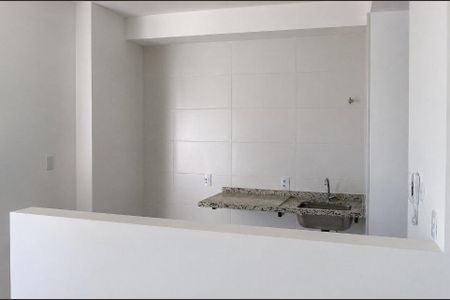 Cozinha de apartamento à venda com 1 quarto, 24m² em Nova Suíça, Belo Horizonte