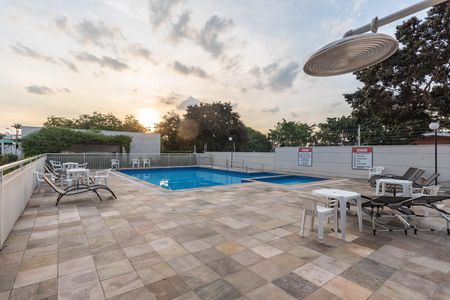 Área comum - Piscina de apartamento para alugar com 2 quartos, 51m² em Jardim Nova Europa, Campinas