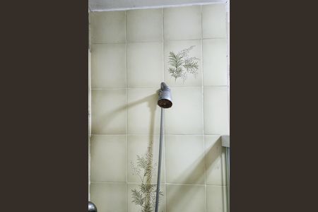 Banheiro  de apartamento para alugar com 2 quartos, 57m² em Praça da Bandeira, Rio de Janeiro