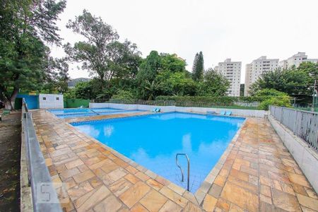 Área comum - Piscina de apartamento à venda com 2 quartos, 60m² em Vila Nossa Senhora de Fatima, Guarulhos