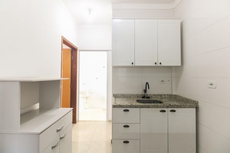 Cozinha de apartamento para alugar com 2 quartos, 47m² em Chácara Seis de Outubro, São Paulo
