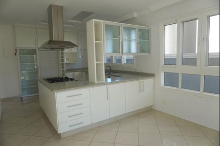 Cozinha de casa de condomínio para alugar com 4 quartos, 455m² em Residencial Morada dos Lagos, Barueri